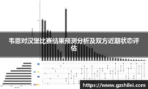 韦恩对汉堡比赛结果预测分析及双方近期状态评估